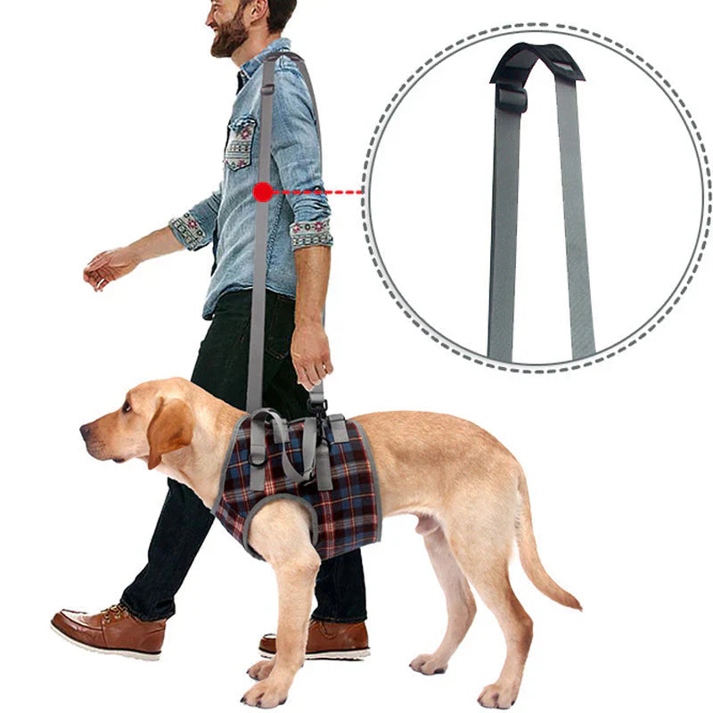 Orthopedic Dog Harness – Rear & Front Leg Support, Adjustable & Breathable