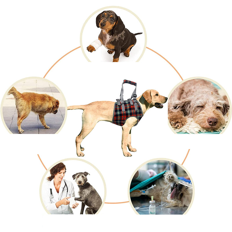 Orthopedic Dog Harness – Rear & Front Leg Support, Adjustable & Breathable