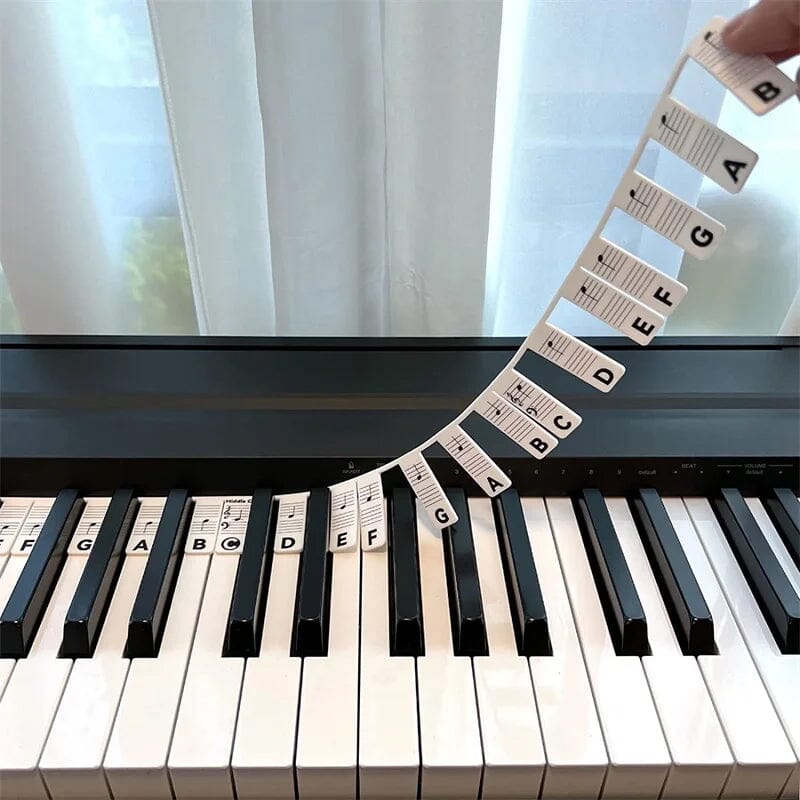 Removable Piano Keyboard Note Labels – Color-Coded Learning Stickers