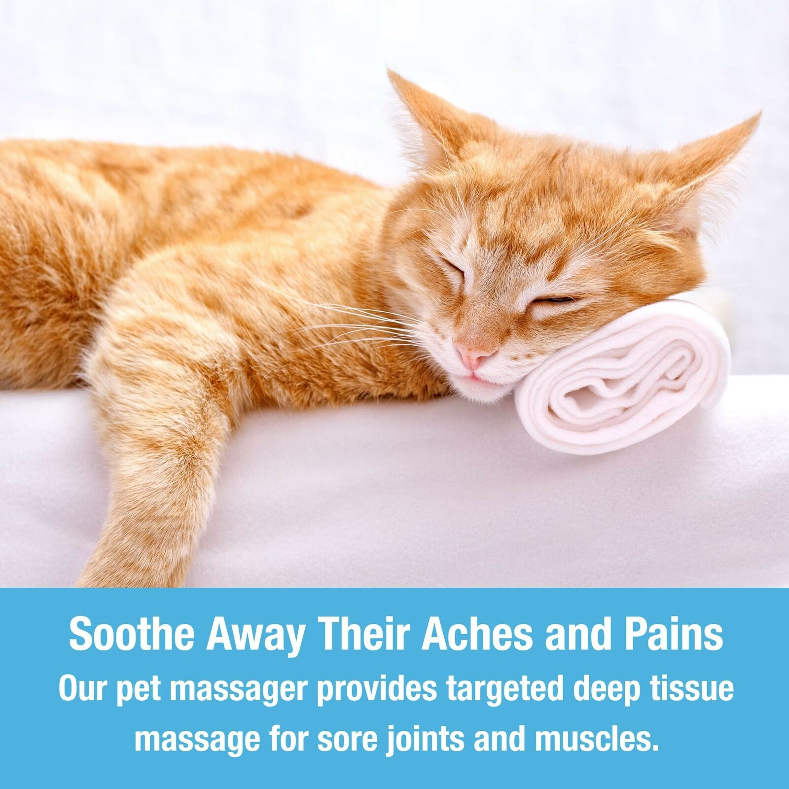 Pet Massager