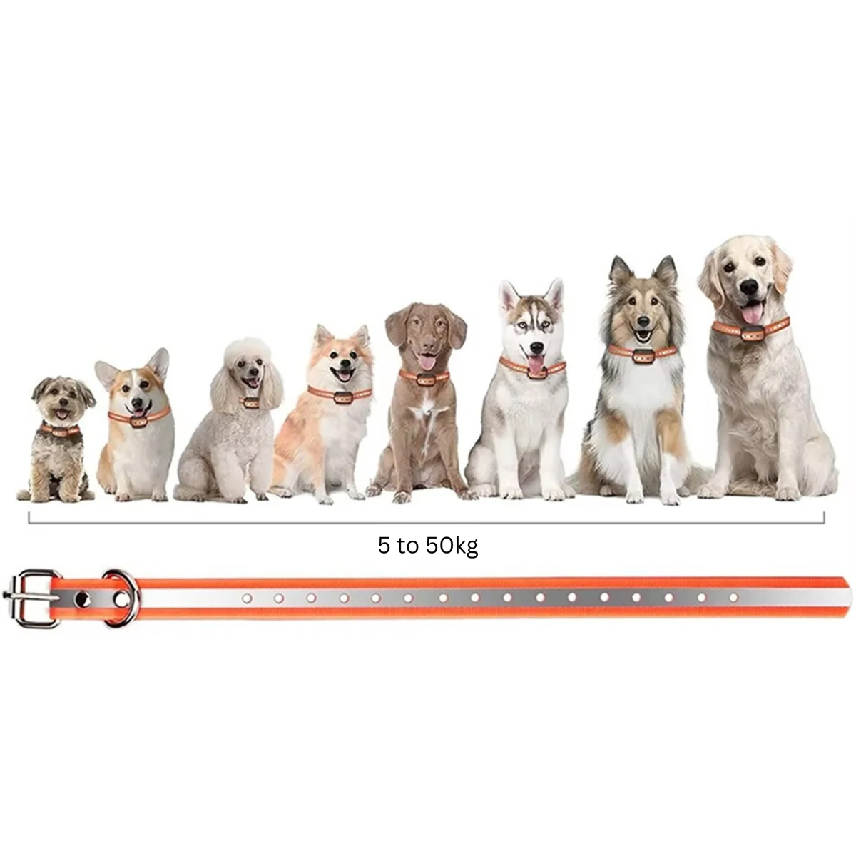 Dog Training Collar with Remote – 1000m Range, Vibration & Beep Mode