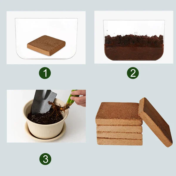 Organic Coconut Coir For Plants