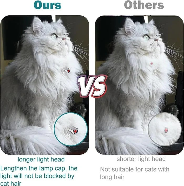 Laser Play Cat Collar – Automatic & Active Without Supervision