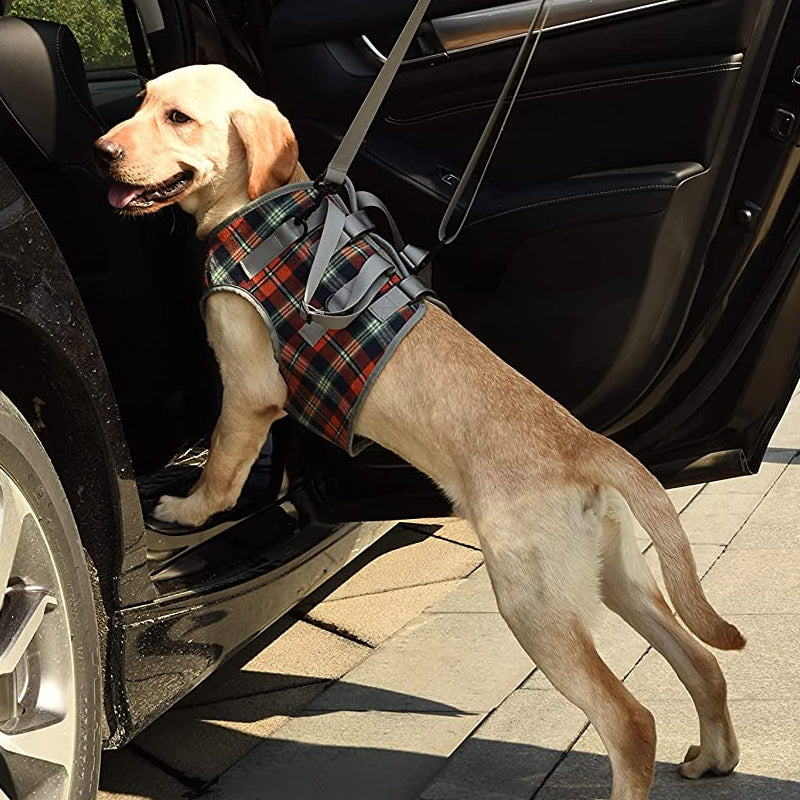 Orthopedic Dog Harness – Rear & Front Leg Support, Adjustable & Breathable