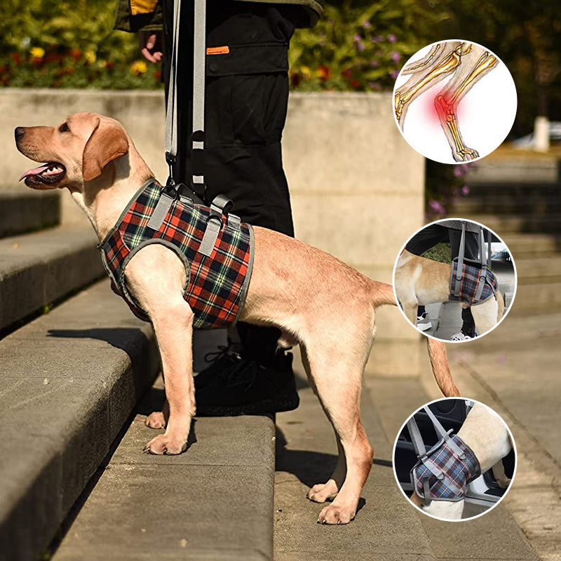 Orthopedic Dog Harness – Rear & Front Leg Support, Adjustable & Breathable