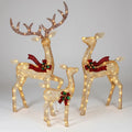 LED Reindeer Christmas Decoration with Lighted Frame