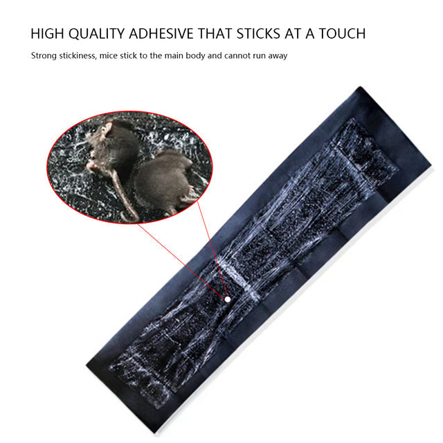 5 Extra-Large Glue Pads For Mice And Rats