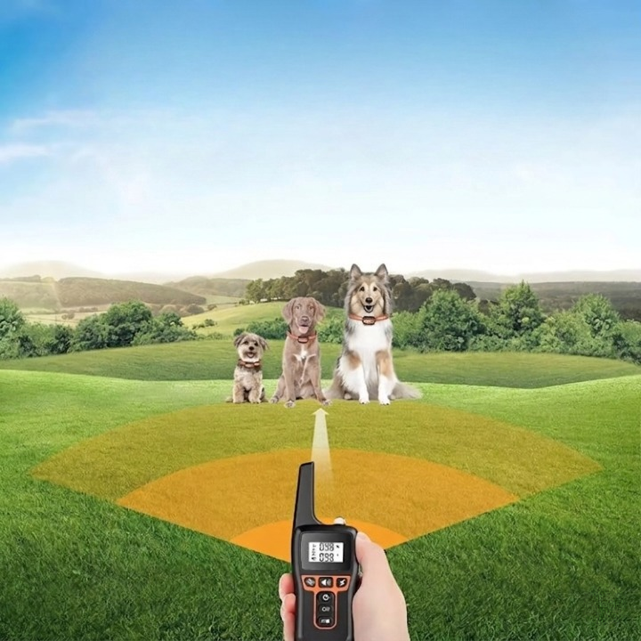 Dog Training Collar with Remote – 1000m Range, Vibration & Beep Mode
