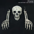 Bone-Tone Skull and Skeletal Arm Decoration Set