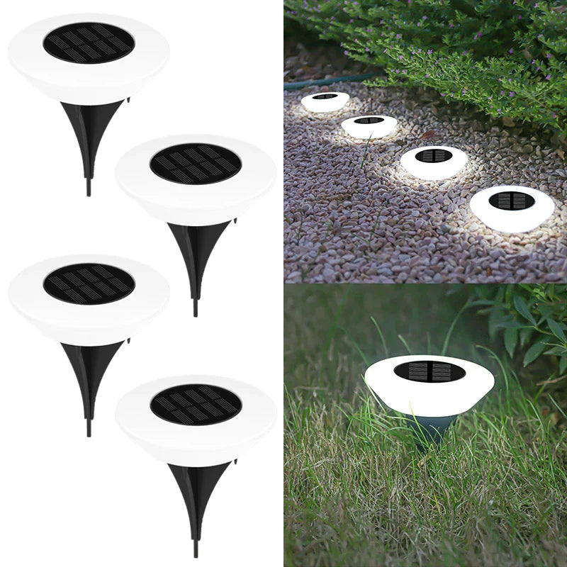Solar Ground Light 4-Pack – 14 LEDs & 360° Ground Illumination