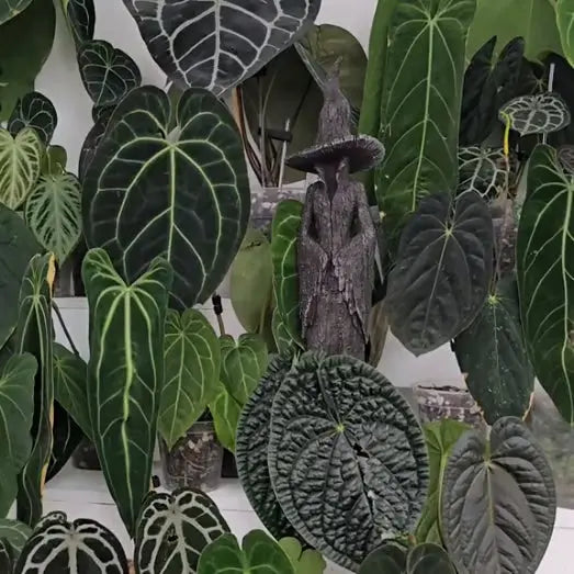 Gothic Tree-Detail Witch Figurine