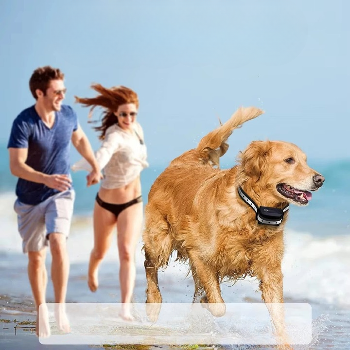 Dog Training Collar with Remote – 1000m Range, Vibration & Beep Mode