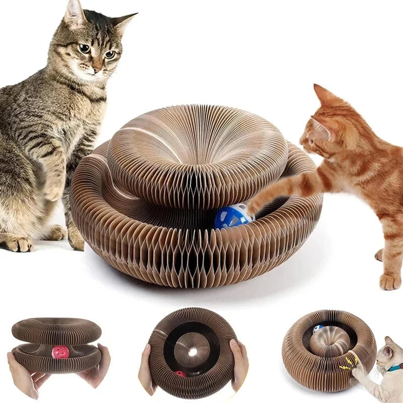 Magic Organ Cat Scratching Board