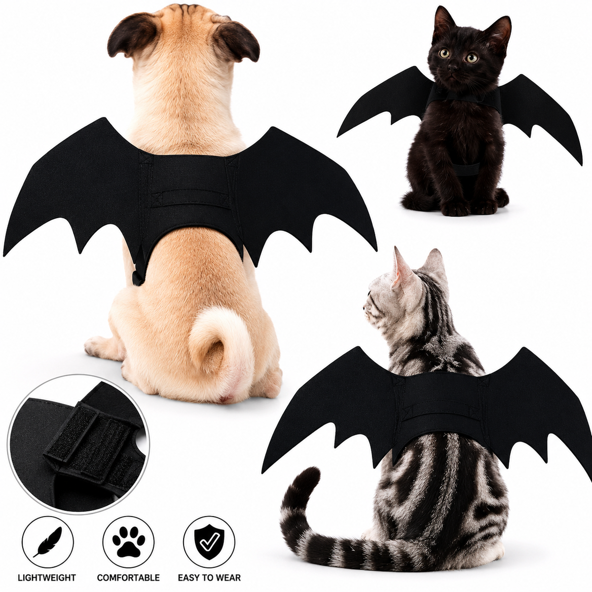 Black Bat Wing Pet Costume
