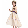 Fairy Tale Princess Halloween Costume Dress
