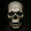 Movable Jaw Realistic Full Head Halloween Skull Mask