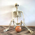 67-Inch Full-Body Posable Skeleton Decoration