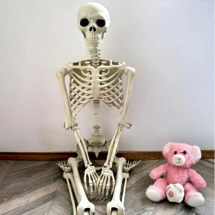 67-Inch Full-Body Posable Skeleton Decoration
