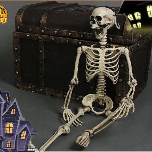 67-Inch Full-Body Posable Skeleton Decoration