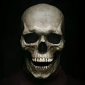 Full-Head Skull Costume Mask with Moving Jaw