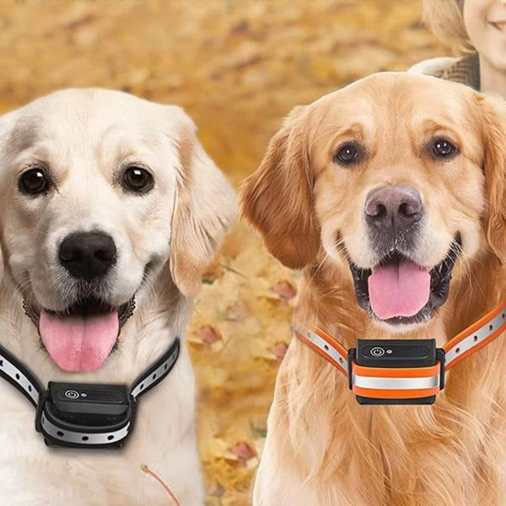 Dog Training Collar with Remote – 1000m Range, Vibration & Beep Mode