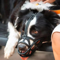 Dog Muzzle – SafeBark Anti-Bark Adjustable Mesh & Breathable Comfort