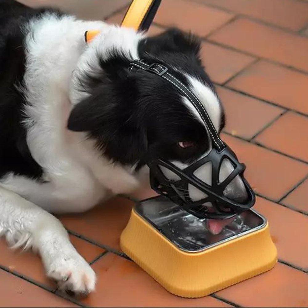 Dog Muzzle – SafeBark Anti-Bark Adjustable Mesh & Breathable Comfort
