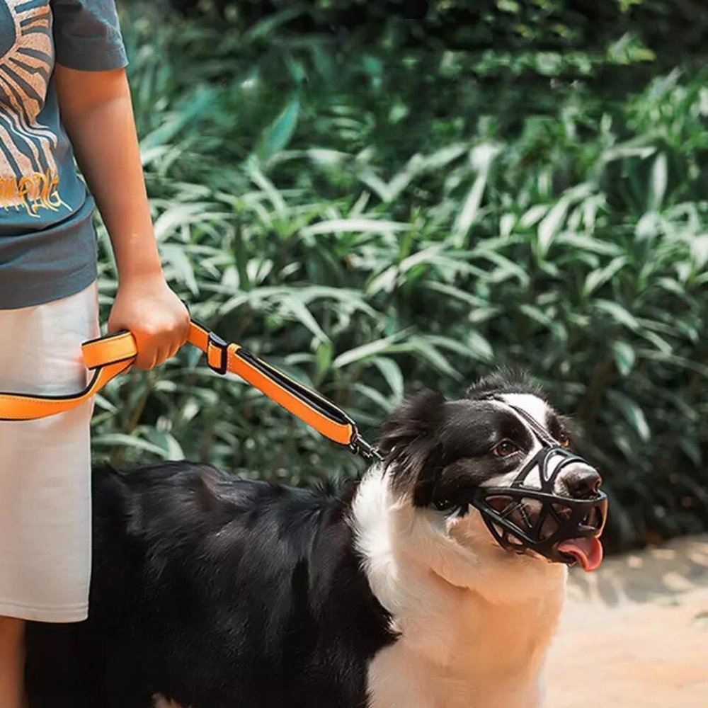 Dog Muzzle – SafeBark Anti-Bark Adjustable Mesh & Breathable Comfort