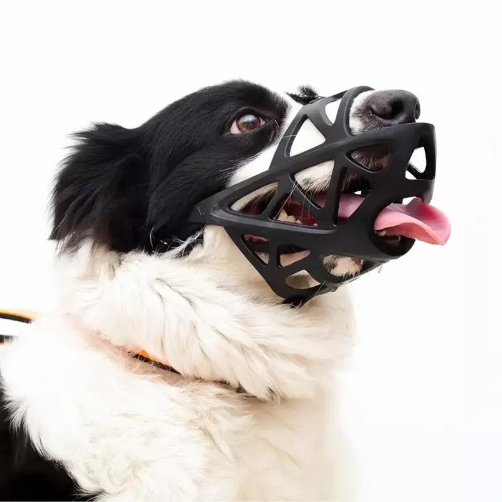 Dog Muzzle – SafeBark Anti-Bark Adjustable Mesh & Breathable Comfort