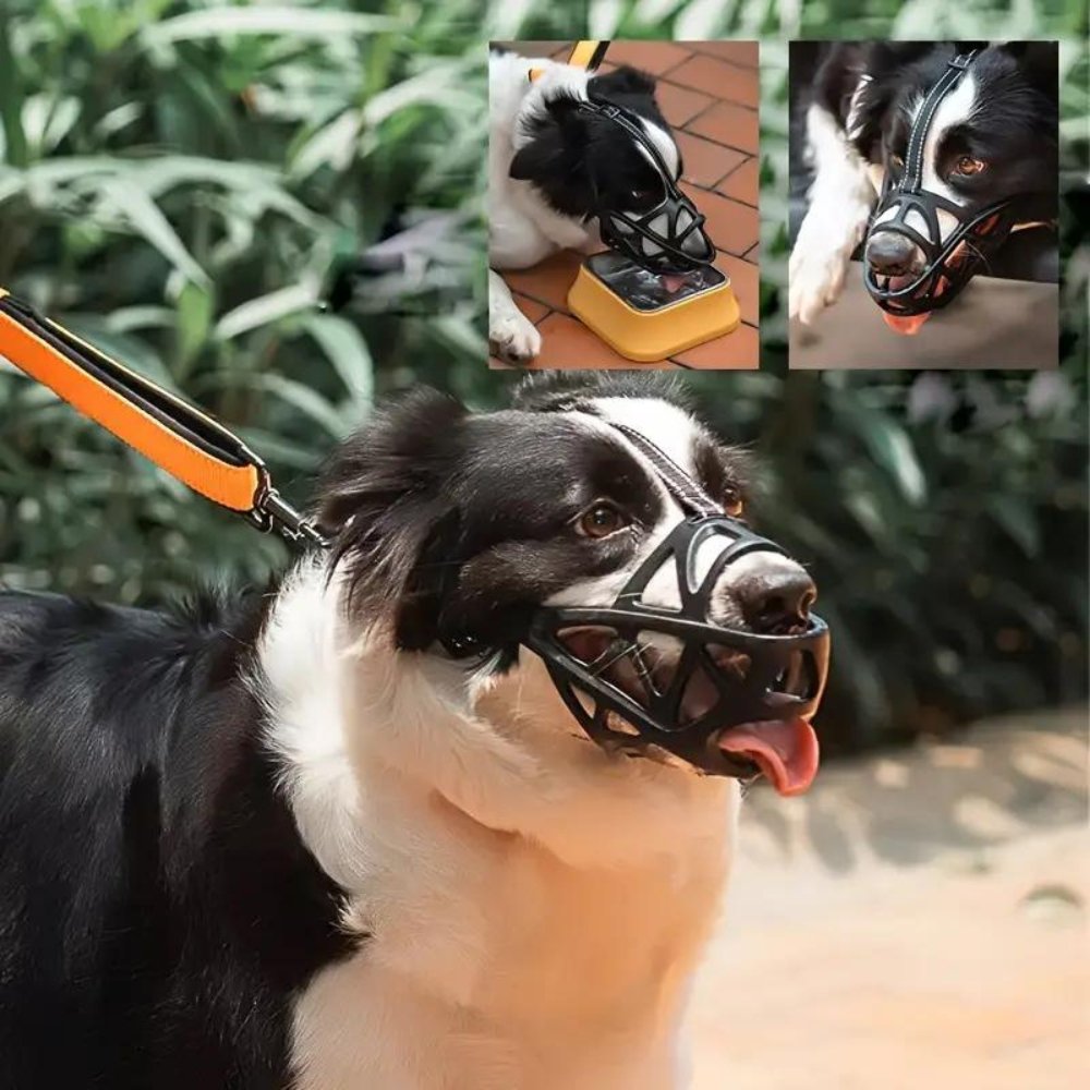Dog Muzzle – SafeBark Anti-Bark Adjustable Mesh & Breathable Comfort
