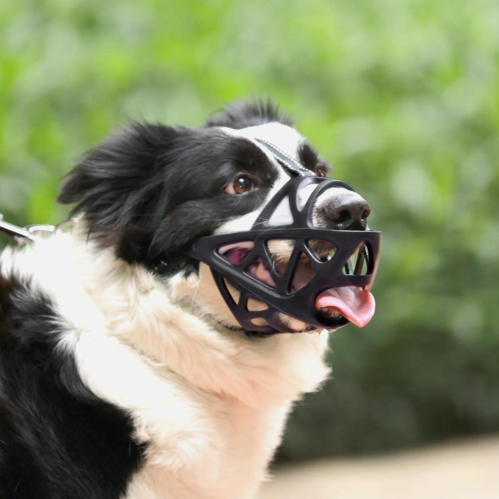 Dog Muzzle – SafeBark Anti-Bark Adjustable Mesh & Breathable Comfort