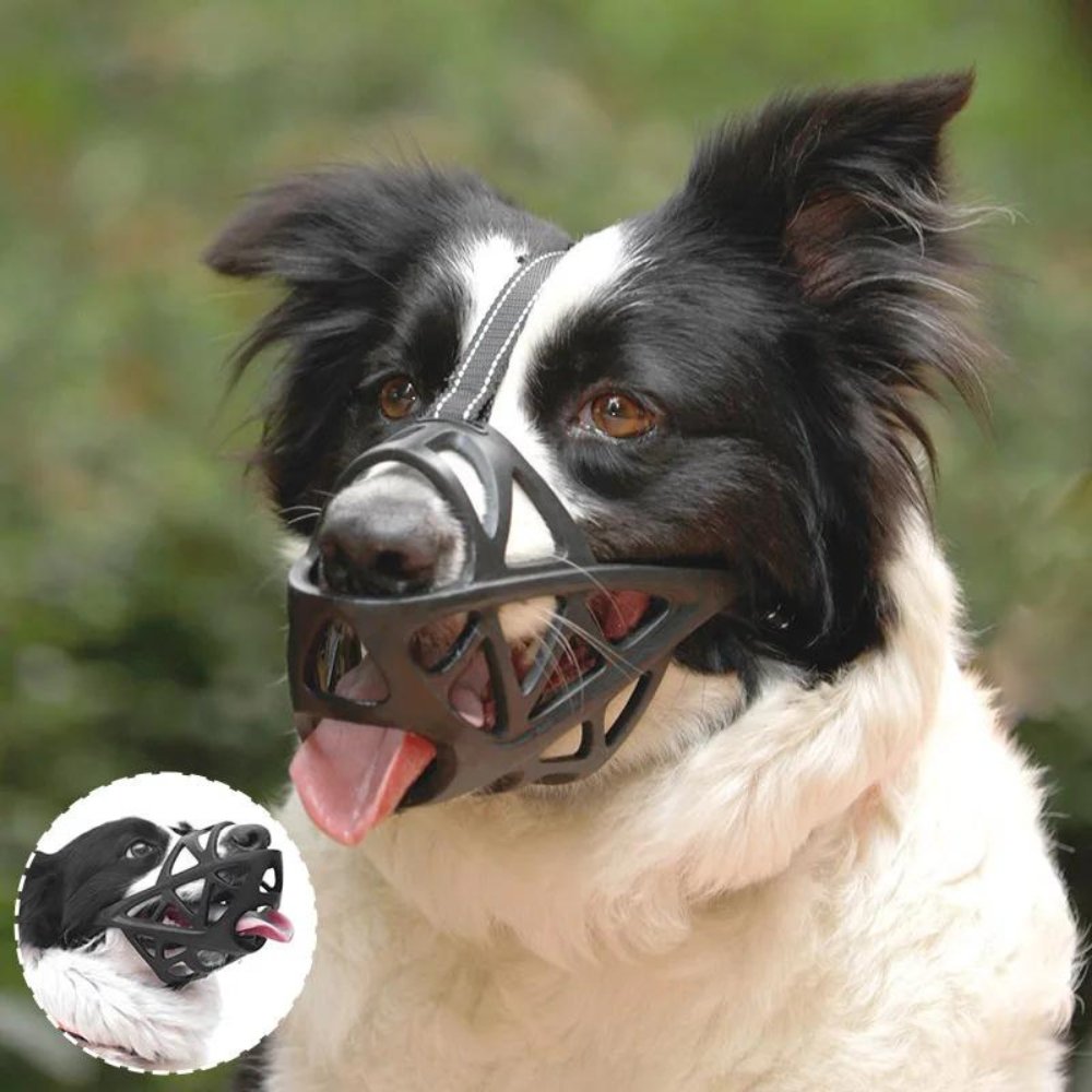 Dog Muzzle – SafeBark Anti-Bark Adjustable Mesh & Breathable Comfort